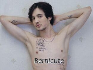 Bernicute