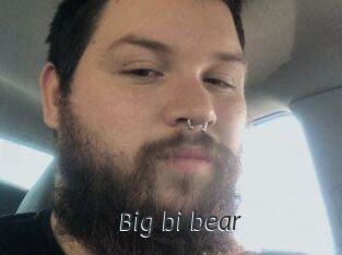 Big_bi_bear