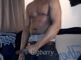 Bigbarry