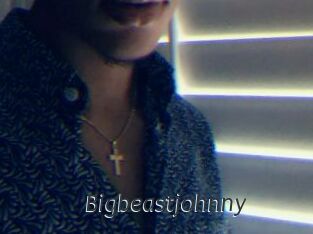 Bigbeastjohnny