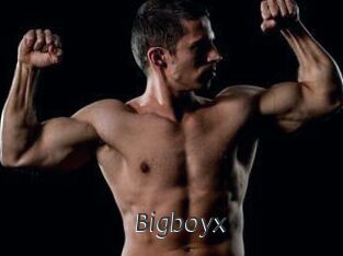 Bigboyx