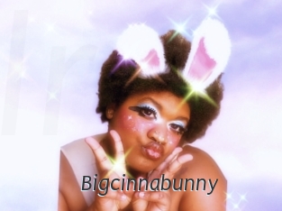 Bigcinnabunny