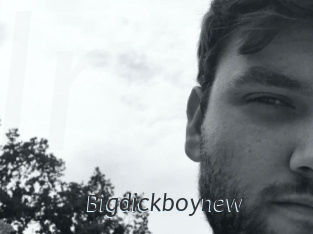 Bigdickboynew