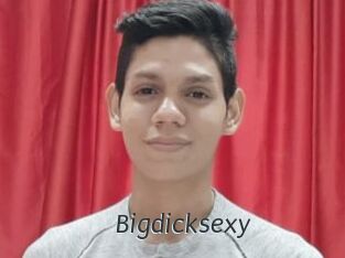Bigdicksexy