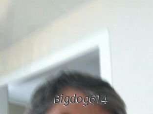 Bigdog614