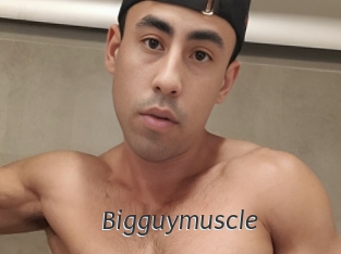 Bigguymuscle