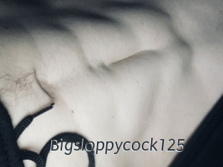 Bigsloppycock125