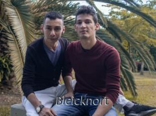 Bleicknort