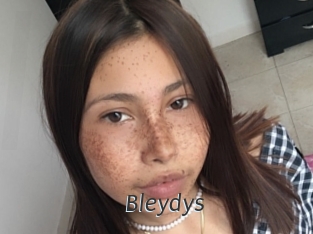 Bleydys