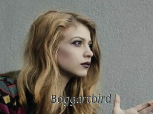 Boggartbird
