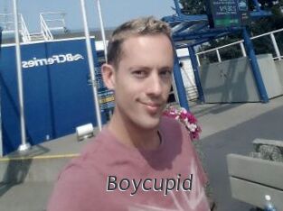 Boycupid