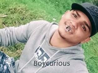 boycurious Ligne Rose