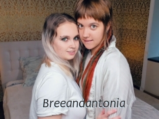 Breeandantonia
