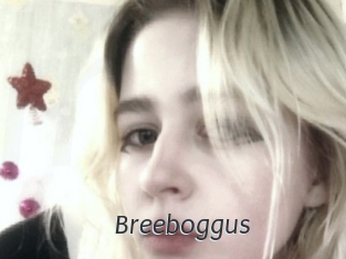 Breeboggus