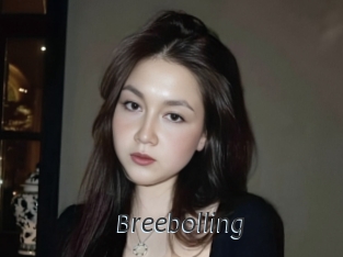 Breebolling
