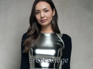 Breeestridge
