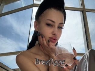 Breefigge