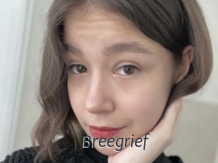 Breegrief