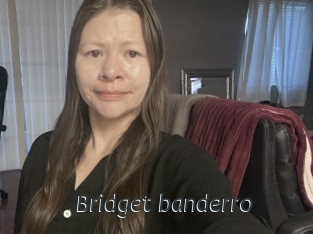 Bridget_banderro
