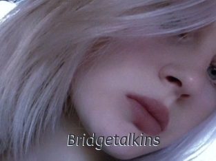 Bridgetalkins