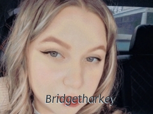 Bridgetharkey