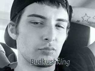 Budkushking