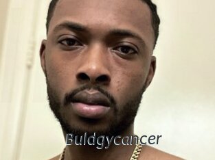 Buldgycancer