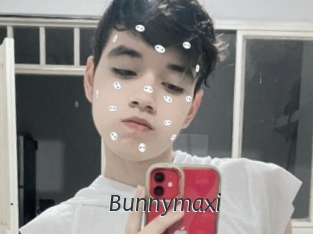 Bunnymaxi