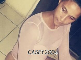 CASEY2004