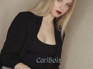 CariBois