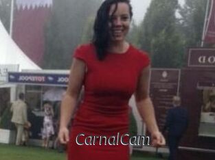 CarnalCam