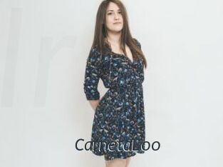 CarnetaLoo