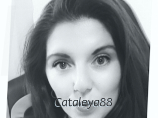 Cataleya88
