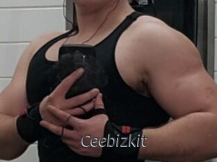 Ceebizkit