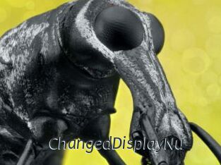 ChangedDisplayNu