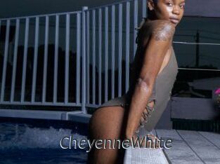 Cheyenne_White Ligne Rose
