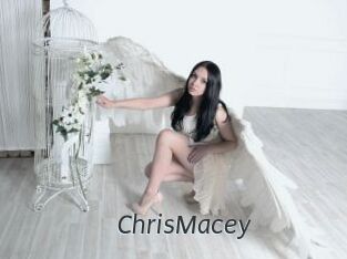 ChrisMacey Ligne Rose