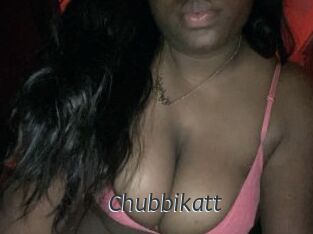 Chubbikatt