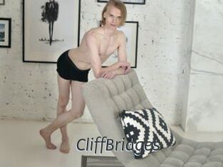 CliffBridges