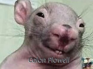 Colon_Plowell