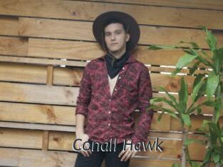 Conall_Hawk