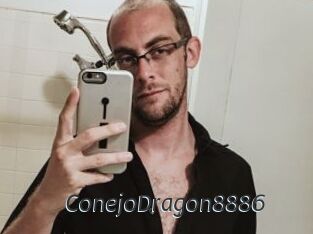 ConejoDragon8886