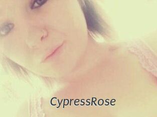 Cypress_Rose