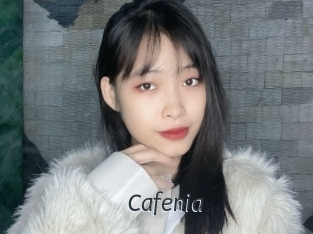 Cafenia