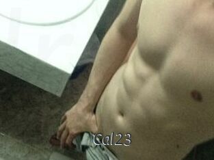 Cal23