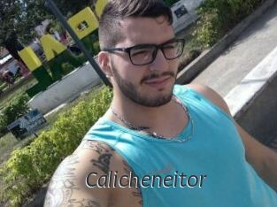 Calicheneitor