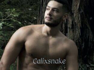 Calixsnake
