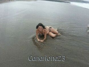 Canariona23