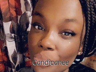 Candicanee