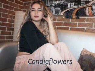 candieflowers Ligne Rose